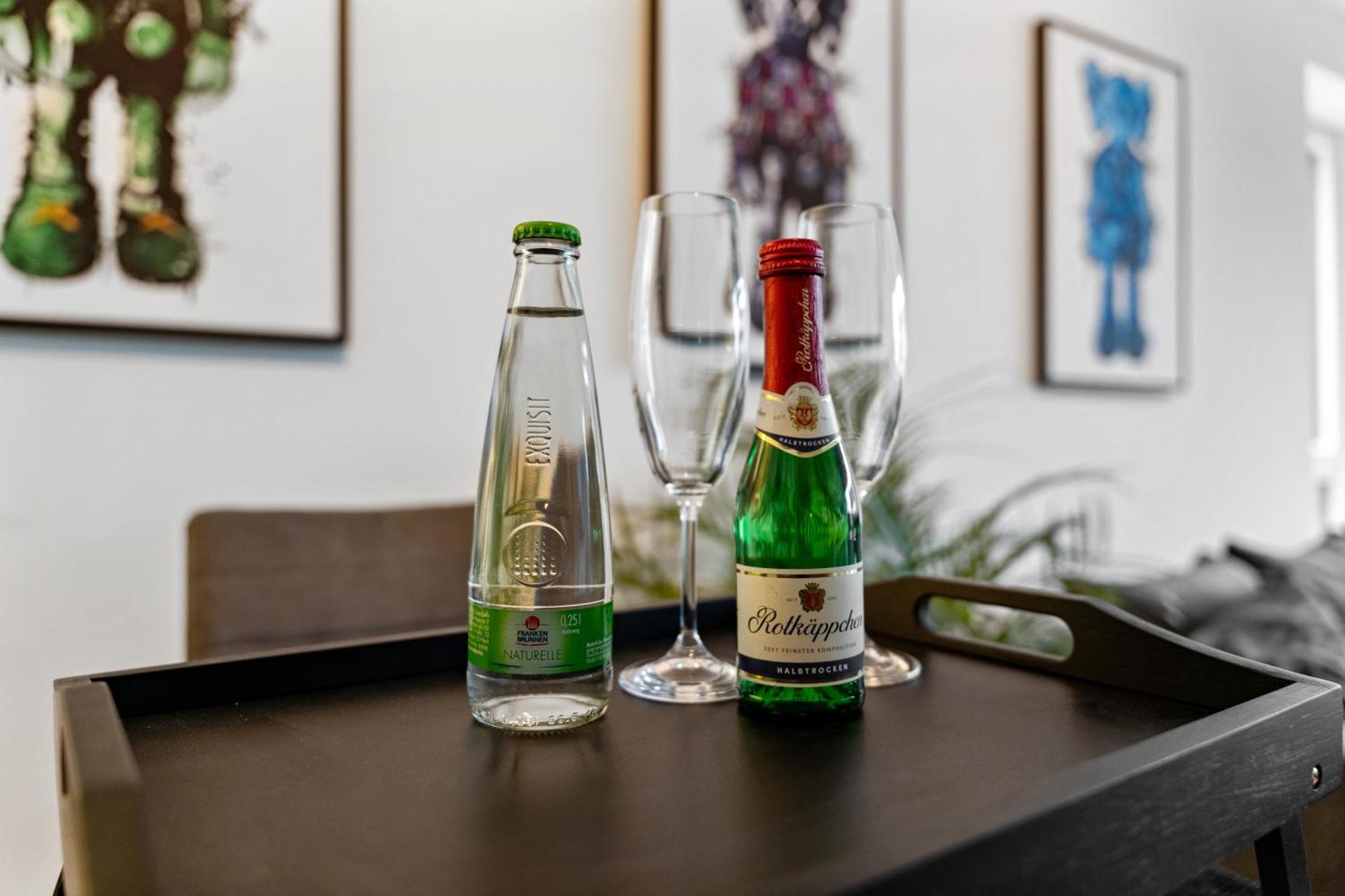 Modern Style Business Suite - Office - Kitchen - Balcony Herzogenaurach Esterno foto